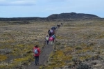Pali Aike National Park.  Punta Arenas - CHILE