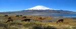 Lauca National Park,  Lake Chungara, Hiking, walking, Chung, Lauca, Arica, Putre.  Putre - CHILE