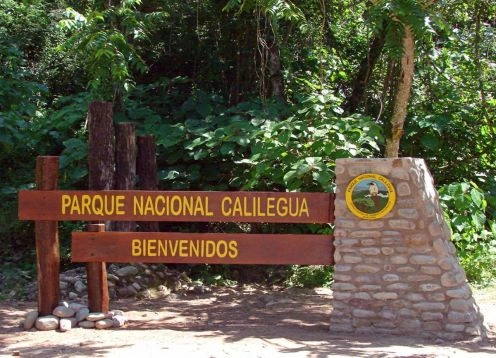 Calilegua National Park