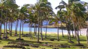 GETTING TO KNOW EASTER ISLAND, , 