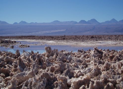 ALTIPLANIC LAGOONS - ATACAMA SALT FLAT. San Pedro de Atacama, CHILE