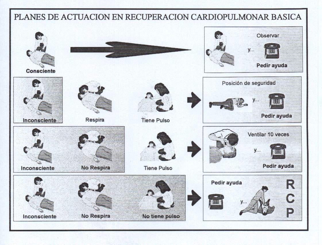 Breathing and cardiac resuscitation