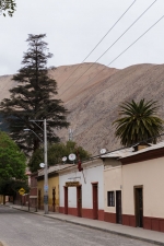 Elqui Valley Guide.  Valle del Elqui - CHILE