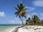 Punta Cana Guide.  Punta de Cana - DOMINICAN REPUBLIC