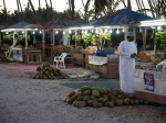 Salalah - Oman, City Guide. what to do, what to see, information.  Salalah - OMAN