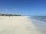 MaceiÃ³ Brazil. Travel Guide, information, tour, what to do, what to see.  Maceio - BRAZIL