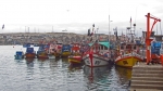 City of Caldera, province of Copiapo in the Atacama region.  Caldera - CHILE