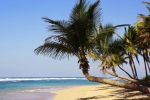 Punta Cana Guide.  Punta de Cana - DOMINICAN REPUBLIC