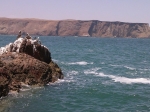 Paracas, Guide and information of the city of Paracas in Peru.  Paracas - PERU