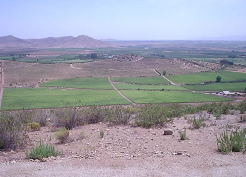 Agua Tierra Vinyard