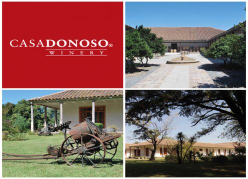 Casa Donoso Vineyard