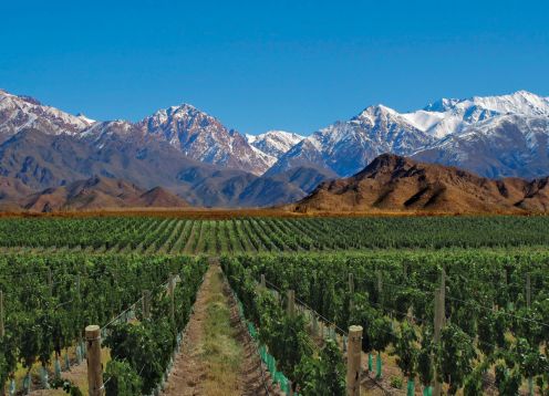 Uco Valley,  - ARGENTINA 