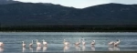 Natural Monument Laguna de los Pozuelos.  San Salvador de Jujuy - ARGENTINA