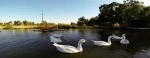 Botanical garden of the University of Talca.  Talca - CHILE