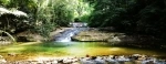 National Park and Floresta da Tijuca, Rio de Janeiro - Brasil.  Rio de Janeiro - BRAZIL