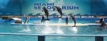 Miami Seaquarium. Miami attractions guide. what to do, what to see, information.  Miami, FL - UNITED STATES