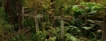 Island of the dead.  Caleta Tortel - CHILE