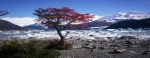 Onell Bay, Los Glaciares National Park, Argentina, El Calafate, Guide.  El Calafate - ARGENTINA