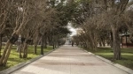 Muñoz Gamero Square, Attractions Guide of Punta Arenas City.  Punta Arenas - CHILE