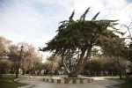 Muñoz Gamero Square, Attractions Guide of Punta Arenas City.  Punta Arenas - CHILE