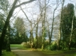 Botanical Garden of the Austral University of Chile.  Valdivia - CHILE