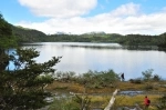 Queulat National Park - Patagonia.  Coyhaique - CHILE