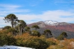 Villarrica National Park In Pucon.  Pucon - CHILE