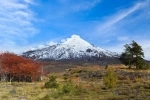 Villarrica National Park In Pucon.  Pucon - CHILE