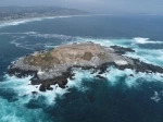 Cachagua Island natural monument.  Zapallar - CHILE