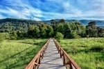 Tolhuaca National Park .  Victoria - CHILE