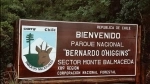 Bernardo O'Higgins National Park.  Puerto Natales - CHILE