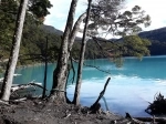 De Los Glaciares National Park.  El Calafate - ARGENTINA