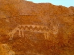 Petroglyphs of Yerbas Buenas.  San Pedro de Atacama - CHILE