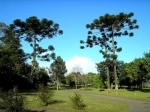 Botanical Garden of Curitiba. City guide what to see, what to do.   - BRAZIL