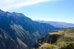 Colca Canyon, Arequipa, Peru. Guide, Information, how to get there, what to see.  Arequipa - PERU