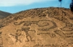 Geoglyphs of Cerro Sagrado.  Arica - CHILE