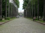 Plaza da Liberdade, Belo Horizonte. Guide of Belo Horizonte, Brazil..  Belo Horizonte - BRAZIL