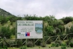 Las Chinchillas National Reserve.  Illapel - CHILE