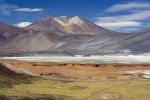 Laguna Miscanti, Guide of San Pedro de Atacama, Information.  San Pedro de Atacama - CHILE
