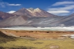 Los Flamencos National Reserve, San Pedro de Atacama, Hotels, National Parks.  San Pedro de Atacama - CHILE