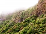 Juan Fernandez National Park.  Juan Fernandez - CHILE