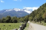 Futaleuf? National Reserve.  Futaleufu - CHILE