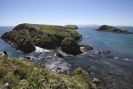 Pingüineras Puñihuil, Ancud, National Reserve, Tour, Chiloe.  Ancud - CHILE