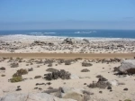 Llanos de Challes National Park.  Vallenar - CHILE