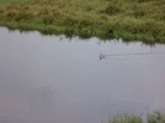 Lluta River.  Arica - CHILE