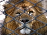 Mendoza Zoo.  Mendoza - ARGENTINA