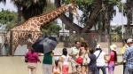 Park of the Legends.  Lima - PERU