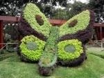 Park of the Legends.  Lima - PERU