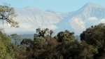 Aconquija National Park, San Miguel de Tucuman, Argentina.  San Miguel de Tucuman - ARGENTINA