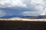 Las Vicunas National Reserve.  Putre - CHILE